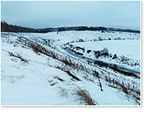 ��� �� ������ ������� ������ (������&nbsp;2026).