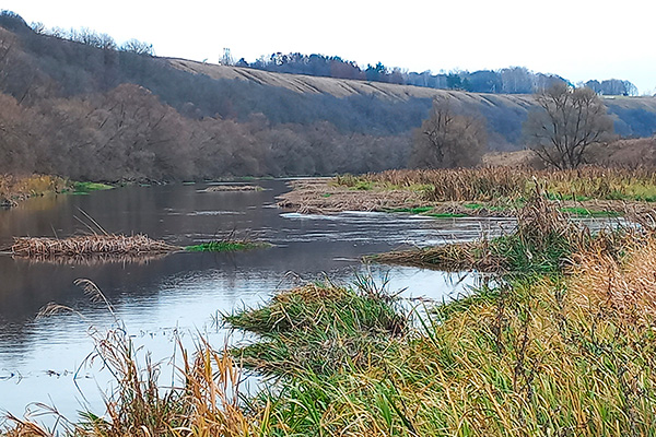      :     30-50    ,          .