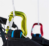 Woody Valley GTO light 2