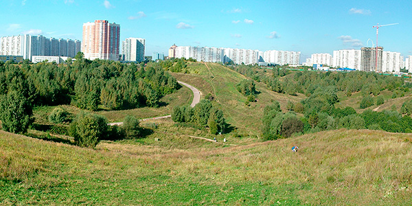 ��� 7. ����������&nbsp;�����. ��� � ������� ��������� ������ �����&nbsp;1 (��������&nbsp;�����) � ������� �����&nbsp;2 ("������������") �� ��������� �� ����&nbsp;2005&nbsp;�.