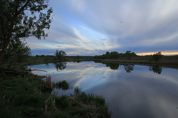 Вечер на Зуше. Вода как зеркало.