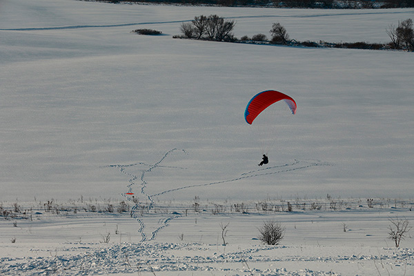 ����� �������� �� �������� ����������� �� ���-�������� ������ ����� �&nbsp;��������.