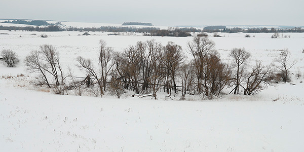 Лесной островок под учебным склоном "Бочки", благодаря стараниям Бобров, начал уменьшаться