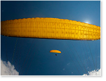 Сразу два Параавис Рэй в одном небе (2022 г).