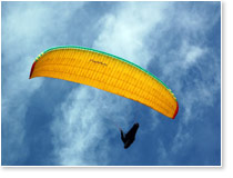 Параавис Рэй вид снизу.